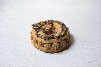 Paris Brest 6 personnes Stohrer